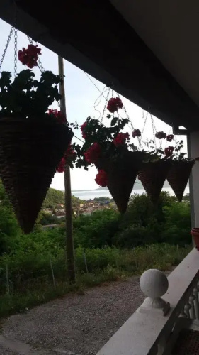 Guest House Cvoro