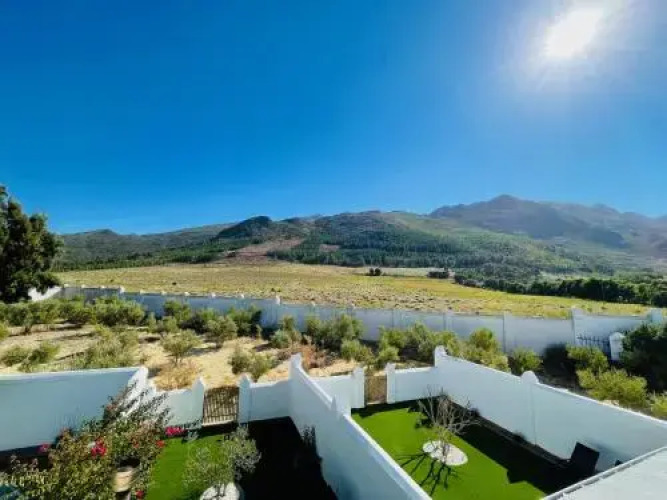 Goodings Groves Olive FarmOver view