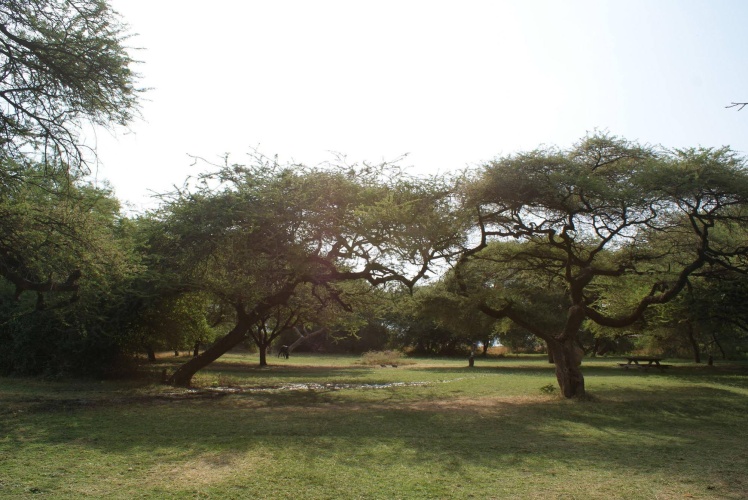 Outside