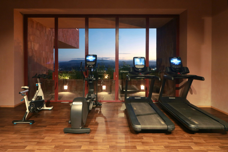Albor San Miguel de Allende, Tapestry Collection by Hilton photo 27