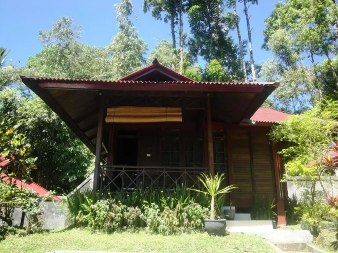 Grand Suite with balcony and with view
