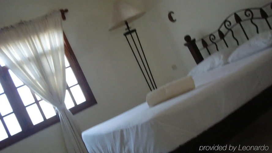 Beachouse Dive Hostel Cozumel
