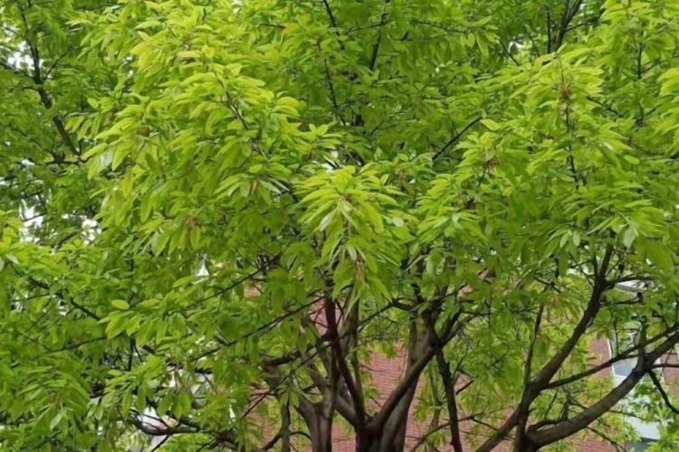Outside
