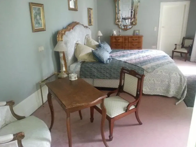 Standard Double room with garden view