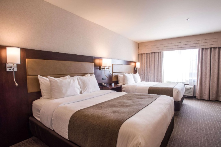 Quadruple Suite