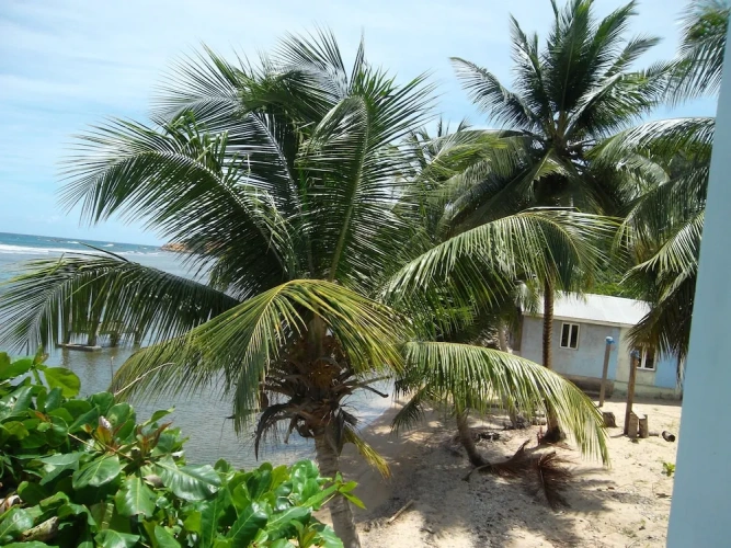 1 Bedroom Comfort Suite with balcony and with ocean view