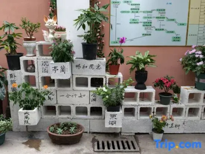 private houses in south Vietnam