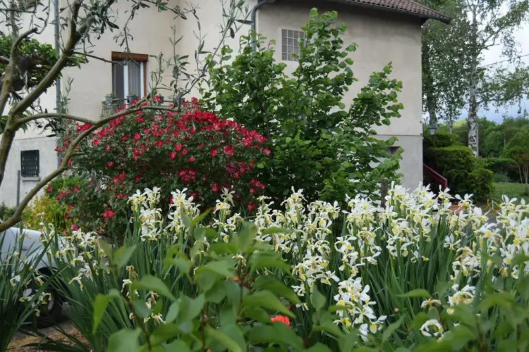 Le Nid de l'Ecureuil