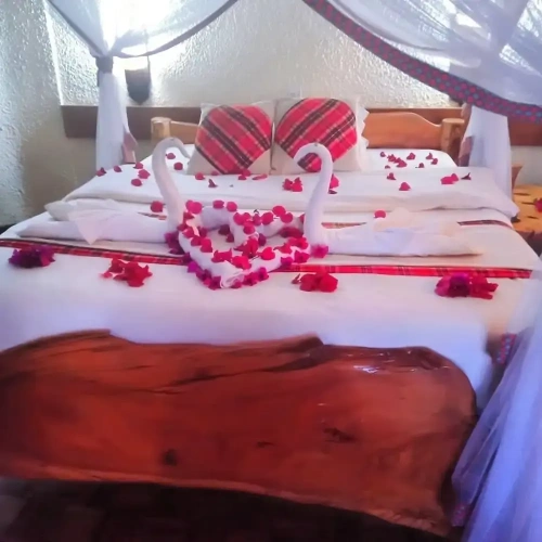 Superior Single room with balcony and with garden view