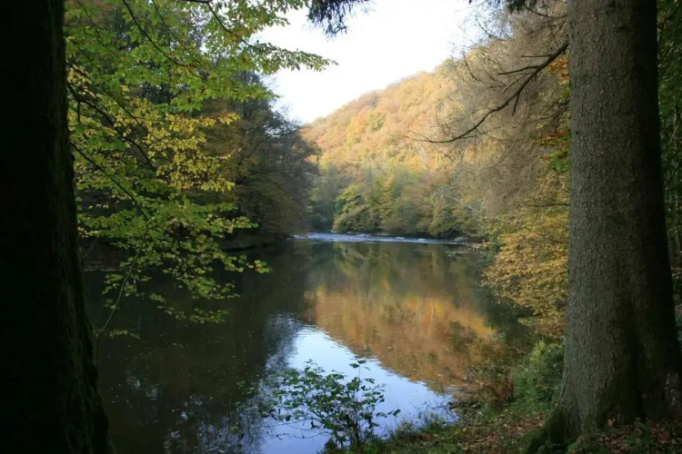 Le Gite Du Breux