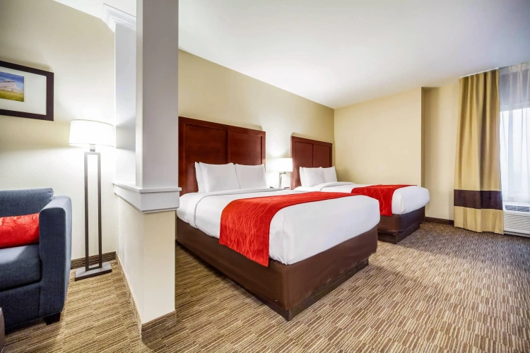 Quadruple Suite