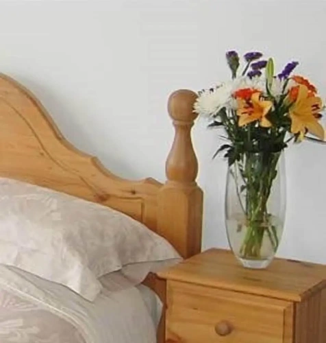 Standard Double room with garden view