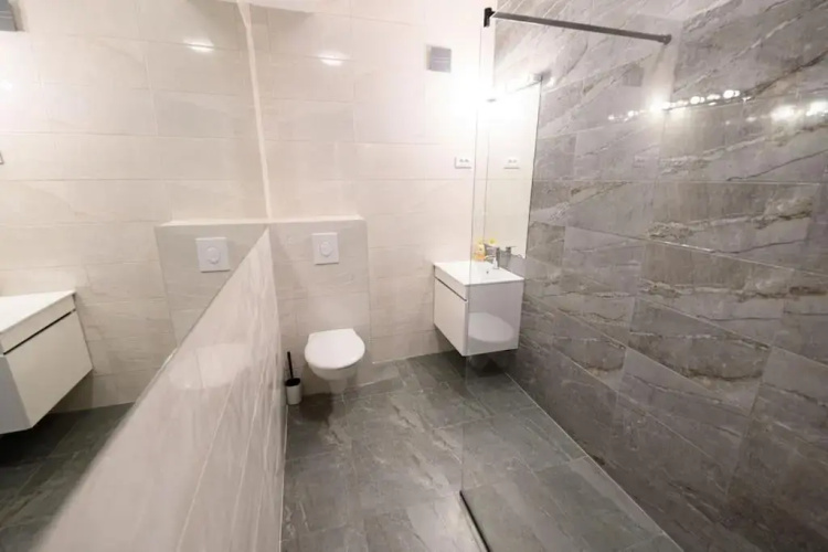 Dedinje apartment