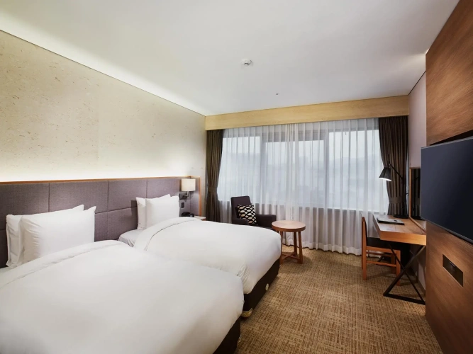Deluxe Twin room