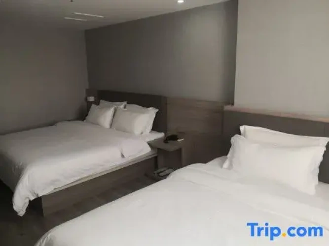 Superior Twin Suite