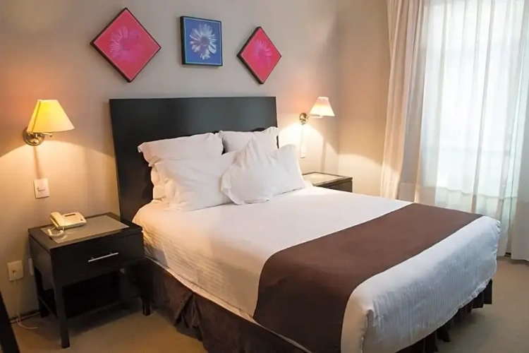 Single Suite