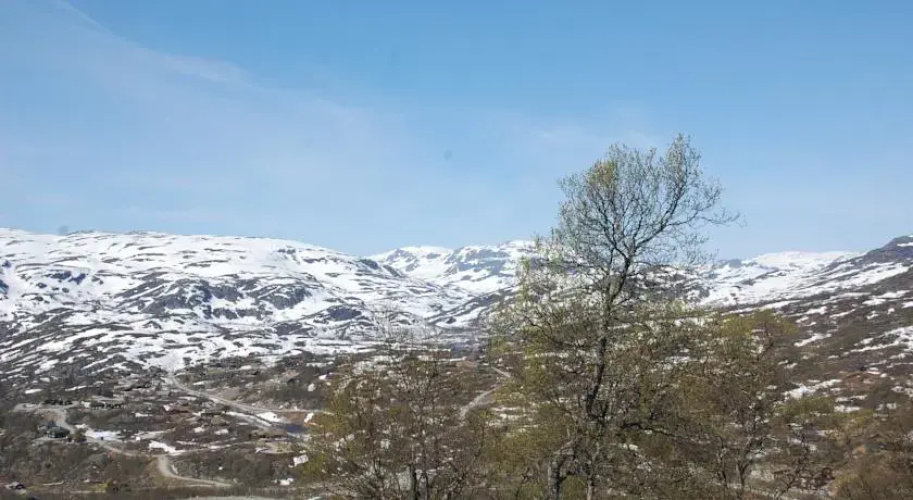 Haukelifjell Booking