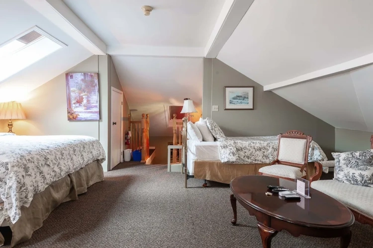 Standard Penthouse room