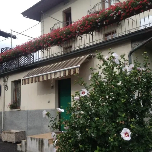 Basement Apartment with view