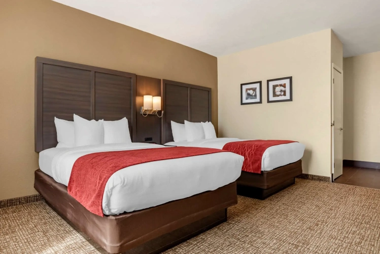 Standard Quadruple room