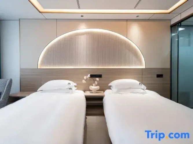 Standard Twin room with balcony and with mountain view