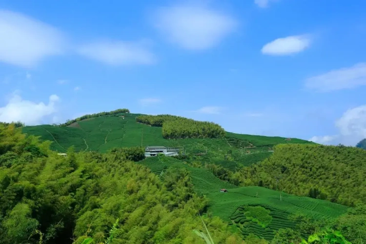 Standard Double room with mountain view