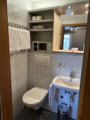 Economy Double room with mountain view