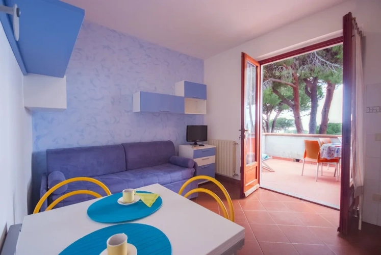 1 Bedroom Standard Apartment