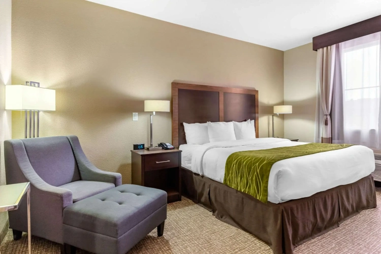 Standard Double room