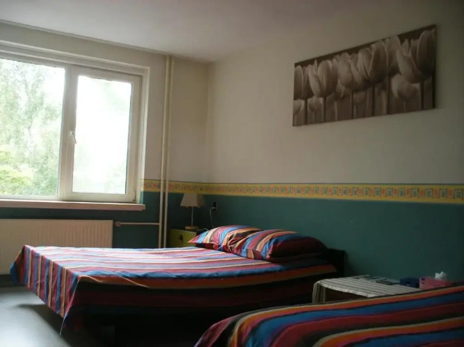 Standard Triple room with view