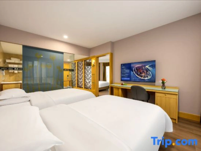 Deluxe Twin Family room