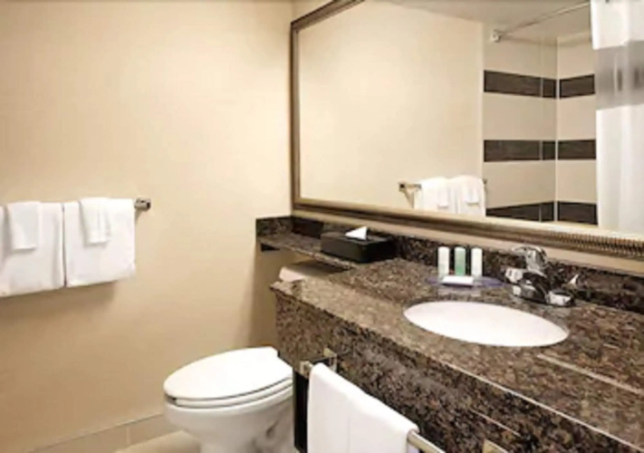 Comfort Suites Downtown photo 12