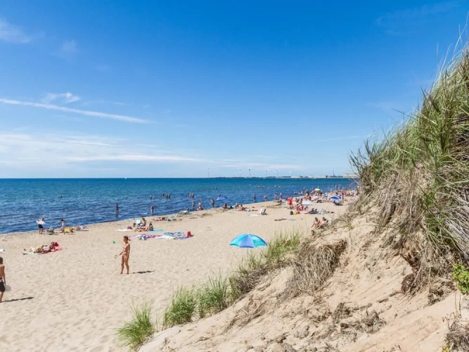 Beach
