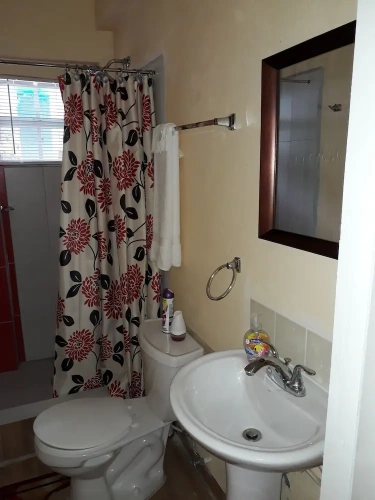 1 Bedroom Standard Villa