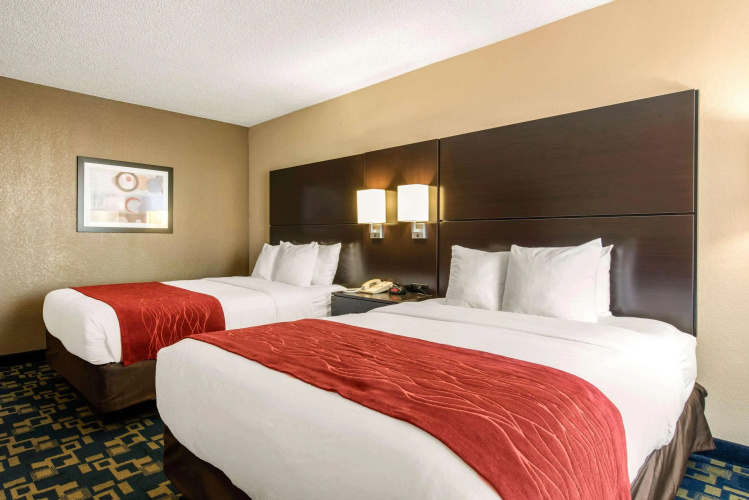 Comfort Inn & Suites Near Universal Orlando Resort photo 8