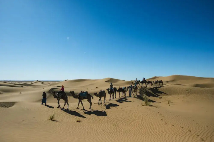 Bivouac Les Nomades