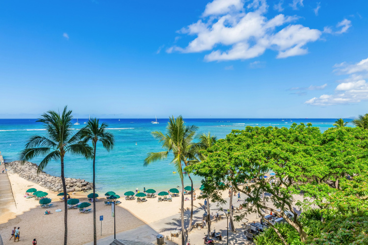 Castle Waikiki Shore photo 13