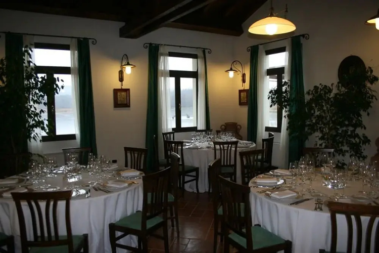 Oasi Cavett