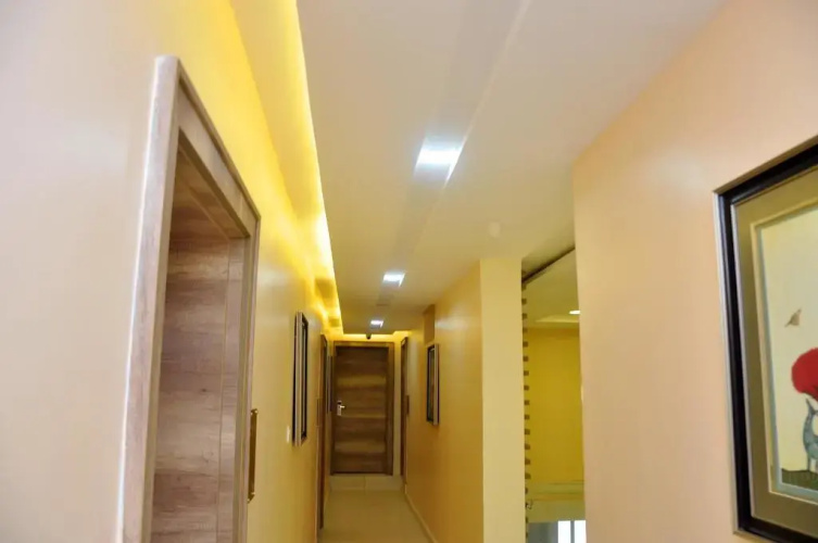 Lit Suites