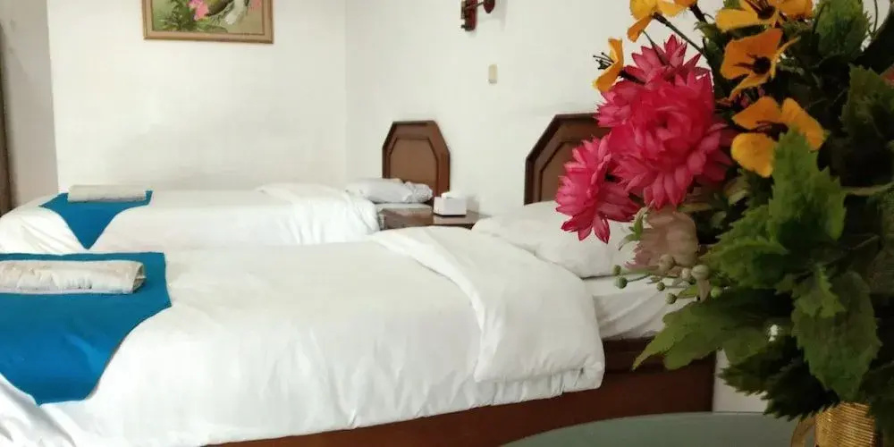 Hotel Sanashtri