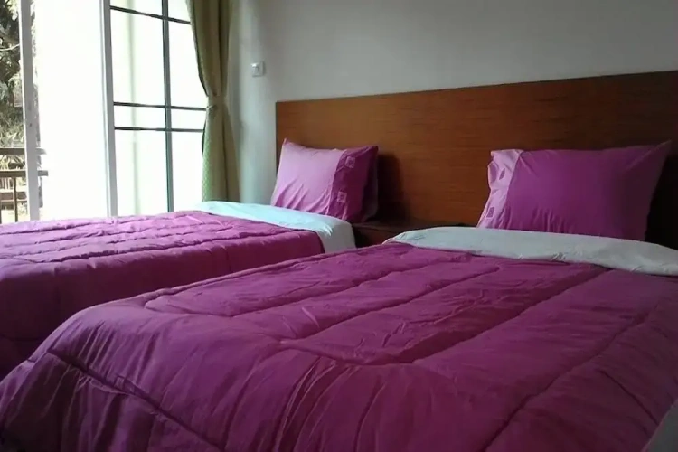 Standard Twin room with balcony
