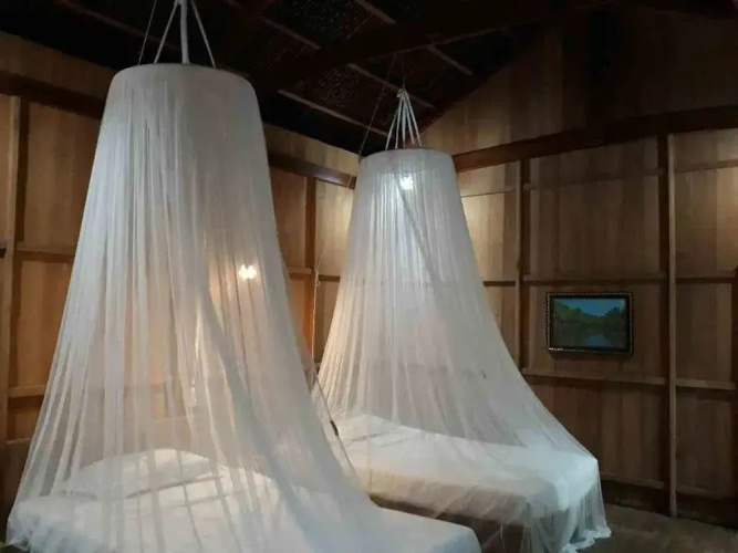 Coconut Homestay