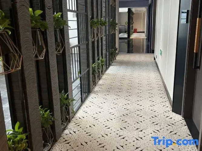 Heimao Hotel (Jiashan Information Technology Engineering School)