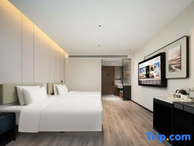 Executive Twin room