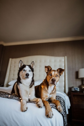 The Pfister photo 39