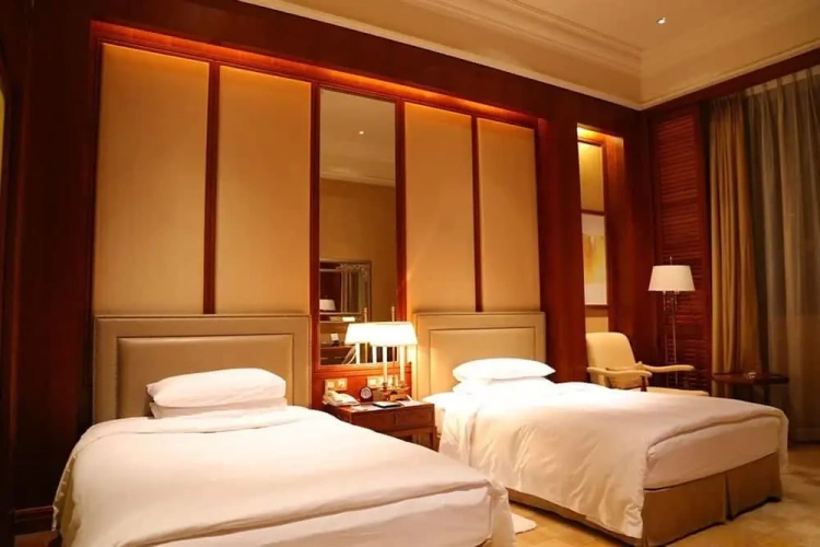 Economy Twin room