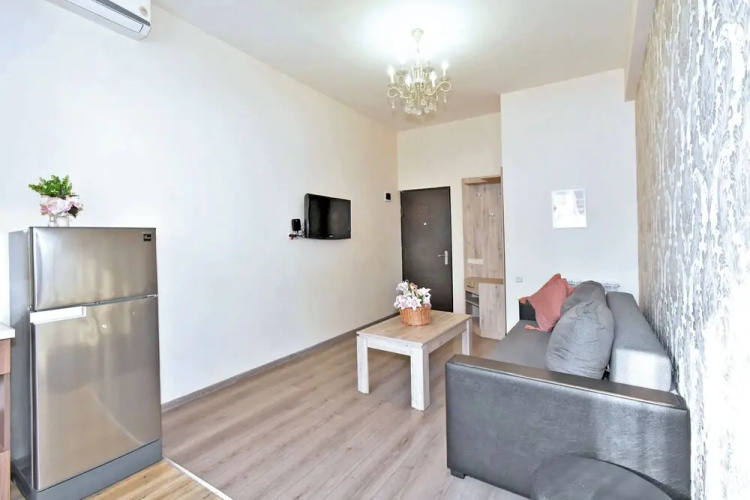 Comfort apartment on Teryan 8