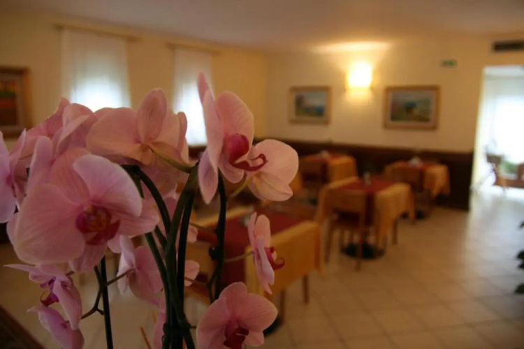 Hotel Villa Nadia