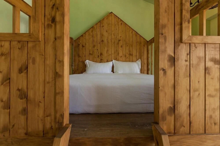Forest B&B