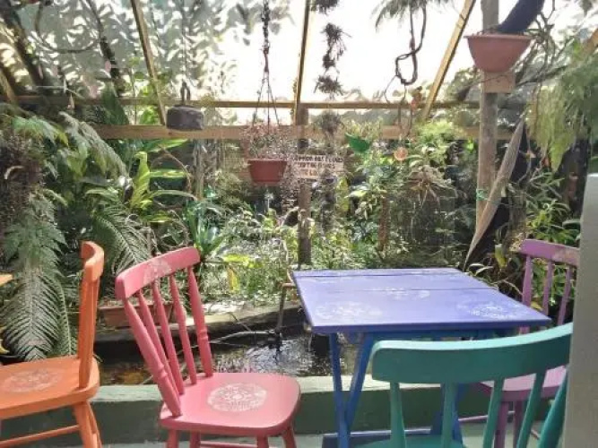Campeche Hostel